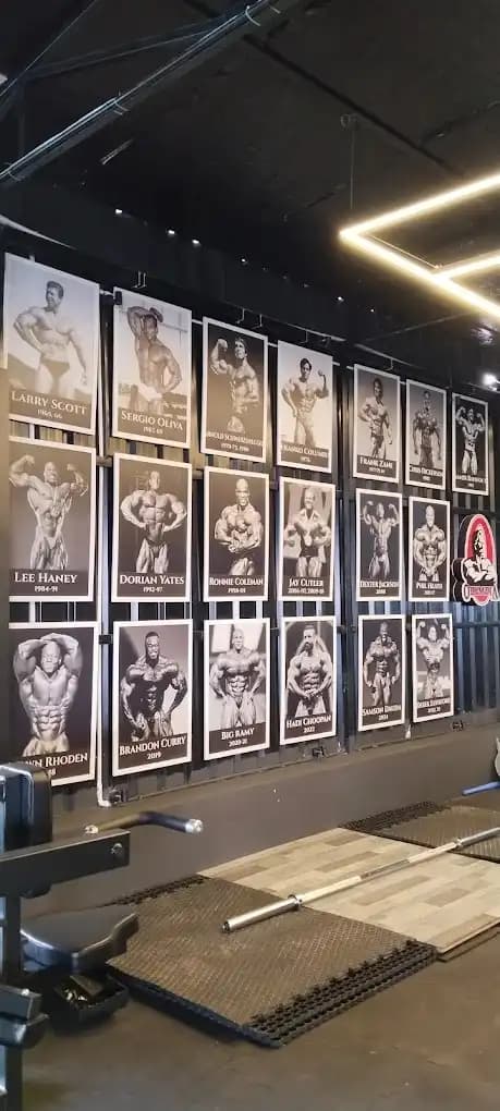 Iron empire gym by TRIKARA GROUP training zone