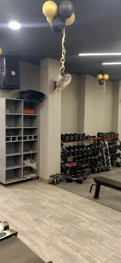 Muscle Factory Gymnasium training zone