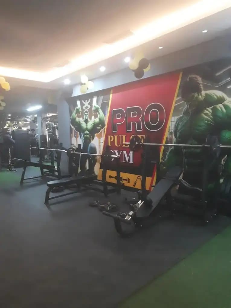 Pro Pulse Gym free weights