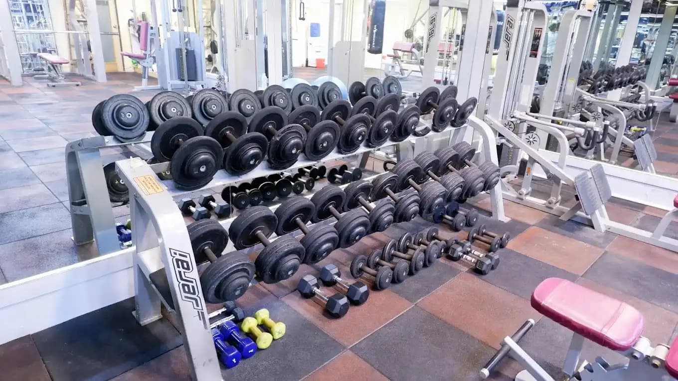 MUSCLE MADE FITNESS main floor