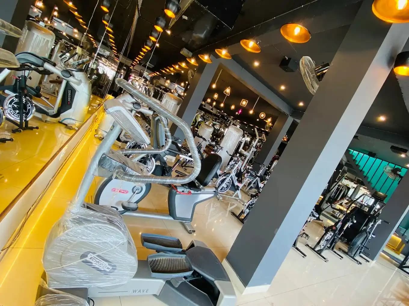 Addiction fitness factory premium gym free weights