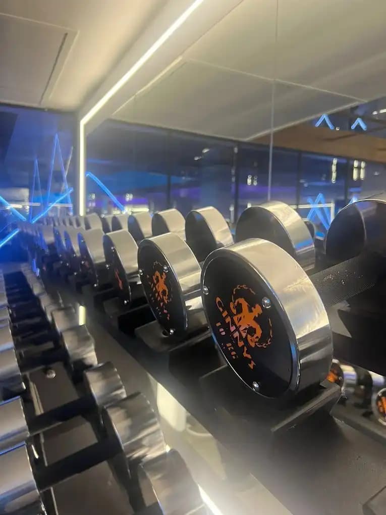 Ginnys Gym cardio deck