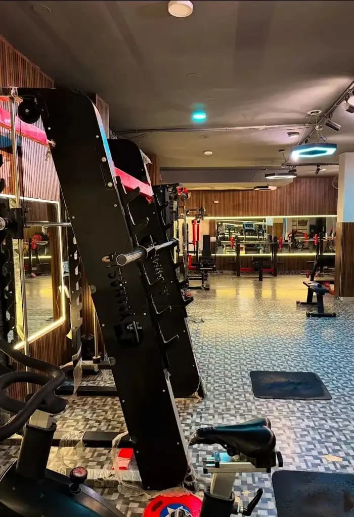 The Gymnasia free weights