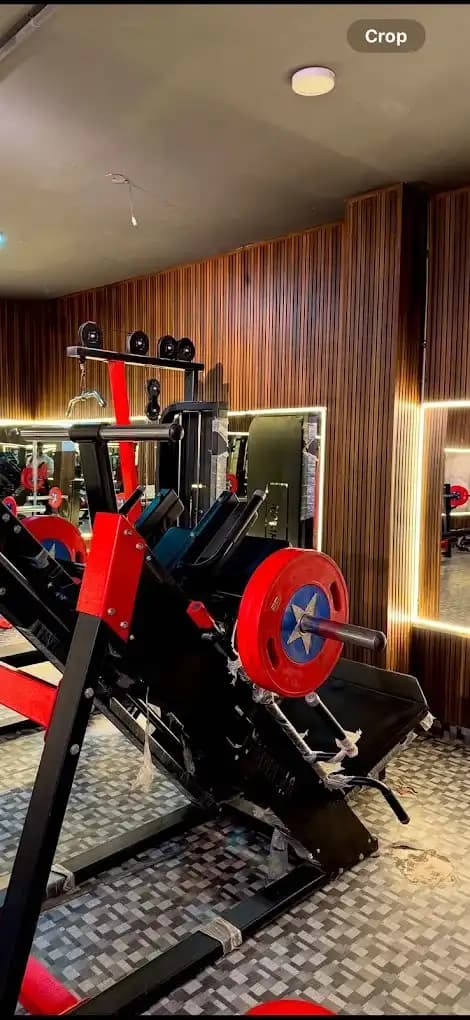 The Gymnasia main floor