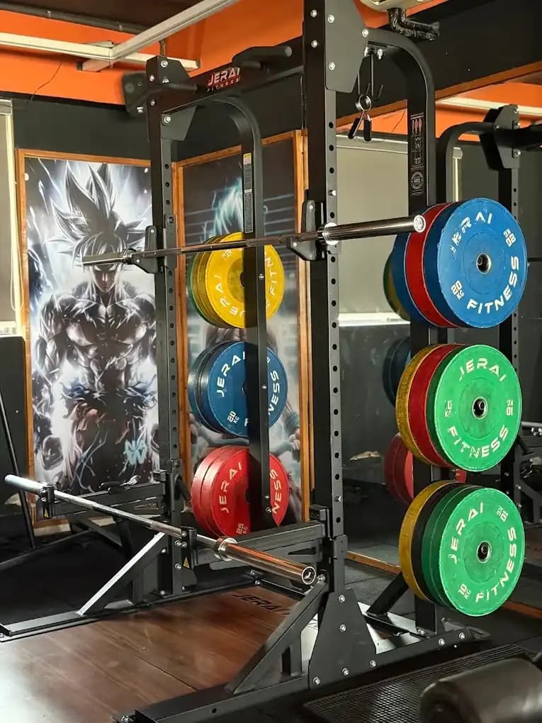 Lifeline Fitness Gym Ahmedabad free weights