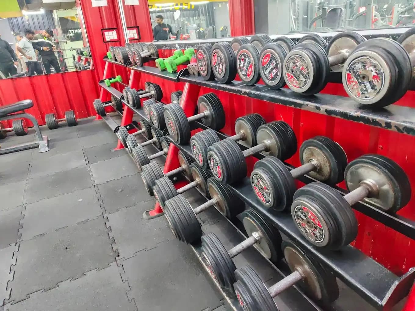 IGNYT FITNESS free weights