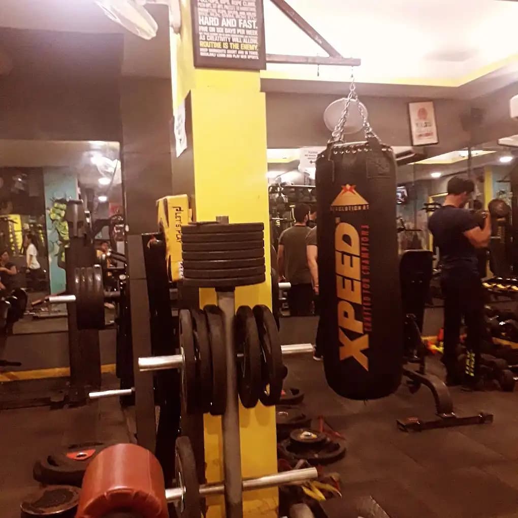 FitFactory gym personal fitness studio training zone