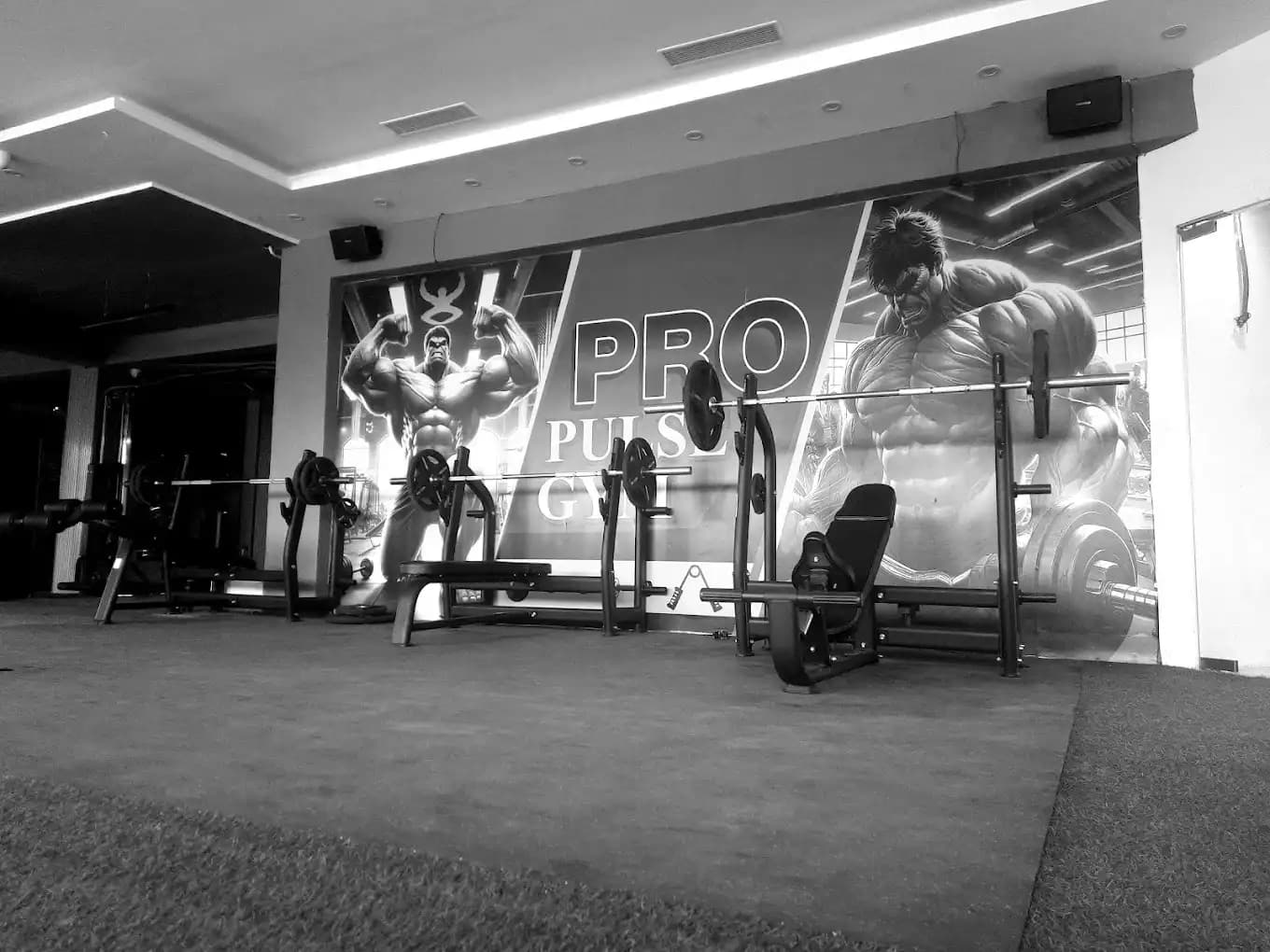 Pro Pulse Gym training zone