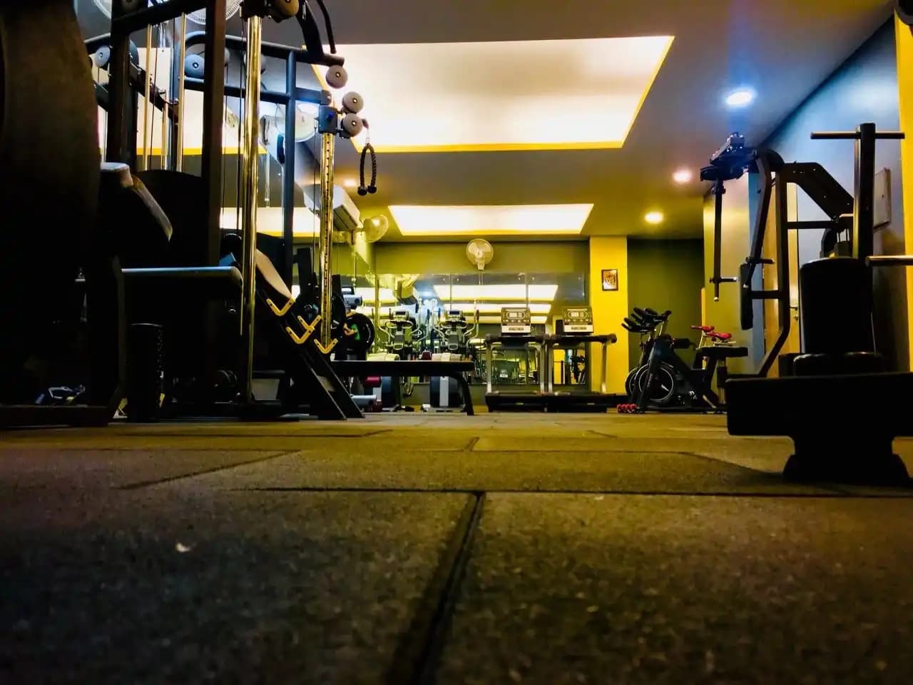 FitFactory gym personal fitness studio free weights