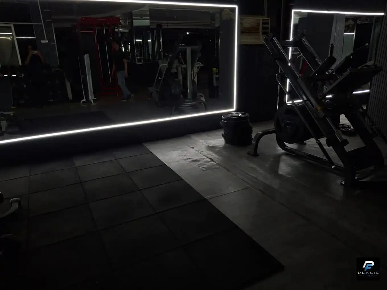 Plasis Fitness training zone