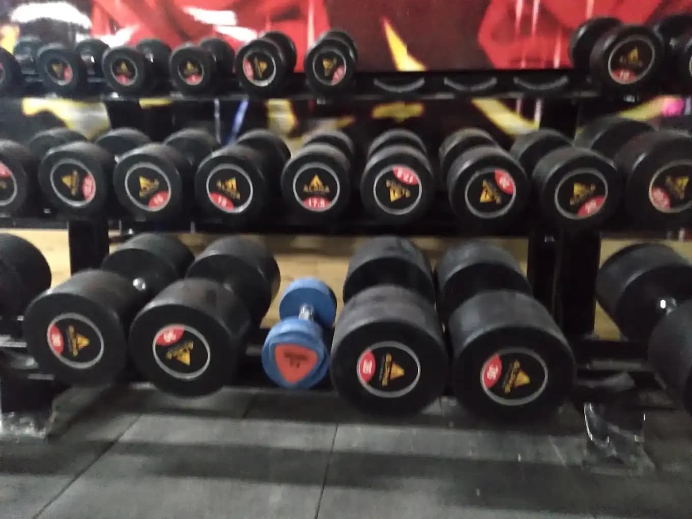 Alpha Fitness free weights